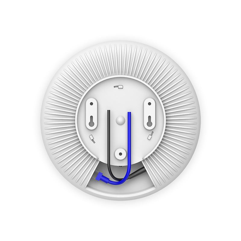 Ceiling-mounted wireless AP